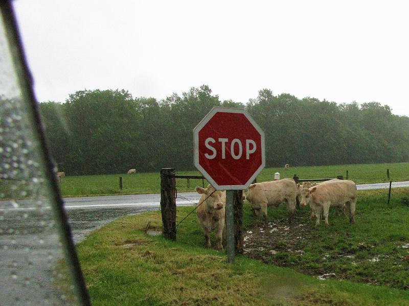 Zat.2 en Zond.3 juni 2012 (232).JPG